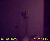 Picture 2 Loading...